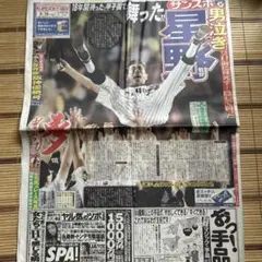阪神優勝　星野監督　2003.9/16