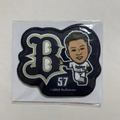 エアーくじ C賞 ワッペンバッジ