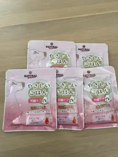 Item thumbnail for item aee34dfe-53f6-45fd-9ede-6c3b5f34dc6c