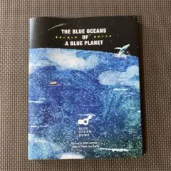 THE BLUE OCEANS OF A BLUE PLANET