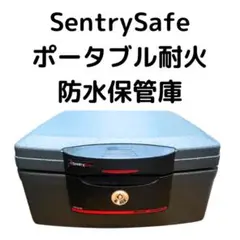 2025年最新】SENTRY H2300の人気アイテム - メルカリ