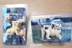 カバヤ 子犬物語 ゴールデンレトリバーとラブラドールレトリバー