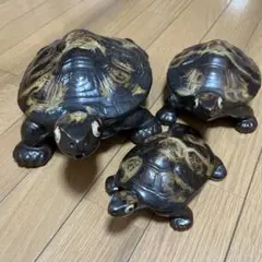 亀の置物3つセット