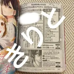LalaDX 9月号 ヴァンパイア騎士 アクスタ プレゼント応募券