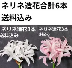 Item thumbnail for item 7a3ec931-2909-47bb-b550-79cff534aaf1