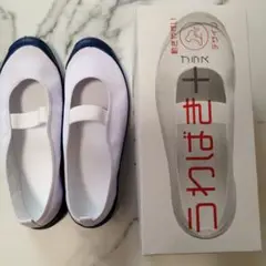 うわばき＋プラス ネイビー 25.0cm