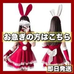 【⭐️即日発送⭐️】サンタコス うさぎ 可愛い セクシー クリスマス 動物