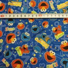 セサミストリート　生地 　２枚　はぎれ