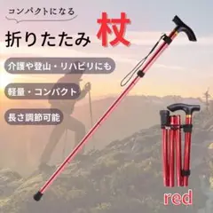 Item thumbnail for item 0bbe48f9-1dd1-4c7b-b6c3-c368815e0949