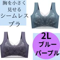 胸を小さく見せるブラ　シームレスノンワイヤ　ー　ナイトブラ 肌触り 2Lブルー系