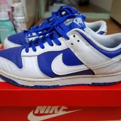 徳*蔵様 Nike スニーカー 青/白　元箱有。
