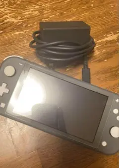 Nintendo Switch Lite グレー 本体 ACアダプター付き
