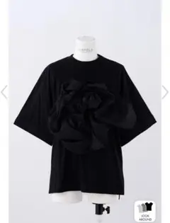 エンフォルド　オーガンジー Tシャツ