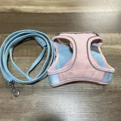 Item thumbnail for item aaad6815-8543-4168-8918-932fa460cbc3