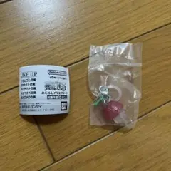 ワンピース めじるしアクセサリー3 ヒトヒトの実