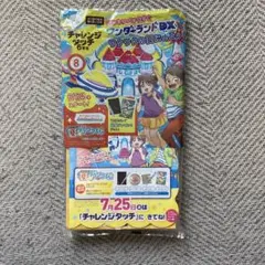 チャレンジタッチ　6年生　8月号