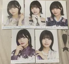 中西アルノ レア 5枚 乃木コレ