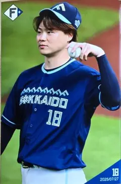 最新❗ファイターズ　#18　山﨑福也　ハイライトフォト　7/27　新品　限定ユニ