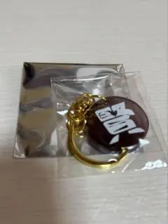 山﨑賢人キーホルダー！シークレット