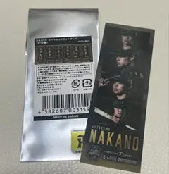 阪神2025B-BLUCKシークレットフォトグレイ 中野拓夢
