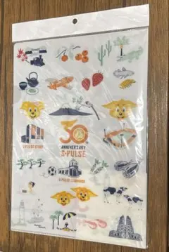 清水エスパルス　30周年記念　クリアファイル