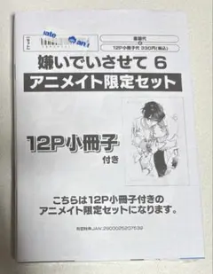 【新品未開封】嫌いでいさせて6巻　アニメイト限定セット