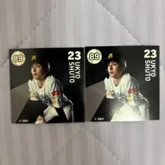 福岡ソフトバンクホークス　＃23　周東 佑京　89限定ステッカー　ステッカー