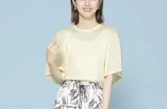 ナノユニバース　シアー半袖tシャツ