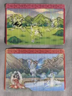 ポケモン進化図鑑 カード 2枚
