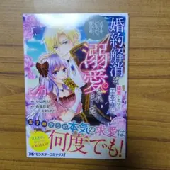 婚約解消を提案したら王太子様に溺愛されました ～お手をどうぞ、僕の君～