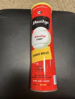 Dunlop Fort テニスボール 4個入り