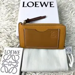 【美品】 LOEWE ロエベ フラグメントケース キャッシュレス コインケース
