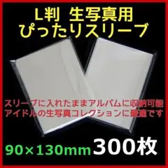 Item thumbnail for item 2e435407-4a26-4540-a561-18ff704e039b