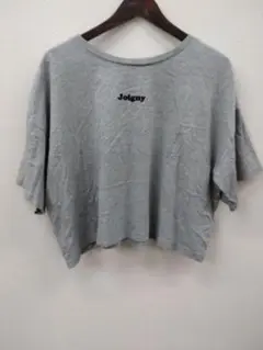 【週末限定値下げ】(3) LOWRYSFARM Tシャツ