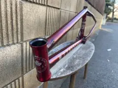 WETHEPEOPLE 'BUCK frame DILLON LLOYD BMX
