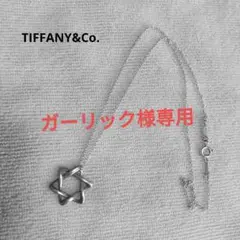 Tiffany ネックレス スター オブ ダビデ