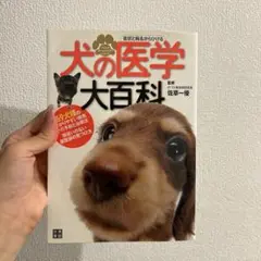 犬の医学大百科❤️即購入OK