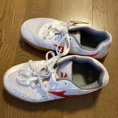 Mizuno ミズノ 体育館シューズ