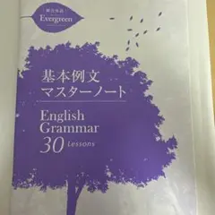 English Grammar 30 Lessons