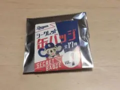 中日ドラゴンズ缶バッチ　シークレット缶バッジ VOL.1　未開封