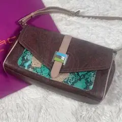 【極美品】 ETRO ショルダーバッグ ペイズリー パイソン ロゴ金具 総柄