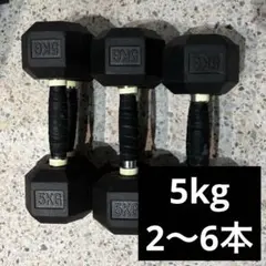 5kg 六角形ダンベル 2〜6個　HEXダンベル（ヘックスダンベル）5kg