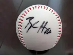 広島 カープ 直筆 サインボール #66 ヘーゲンズ CARP