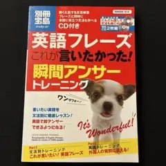 英語フレーズこれが言いたかった!瞬間アンサートレーニング