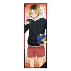 ハイキュー マルチクロスコレクション