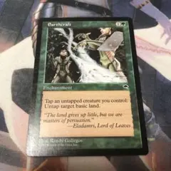 MTG 英語版 大地の知識