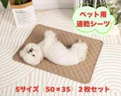 Item thumbnail for item a14ae81f-ccfd-4e2c-88ff-41784bf4b131