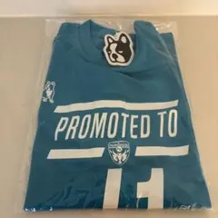 YOKOHAMA FC ２０１９昇格Tシャツ Lサイズ