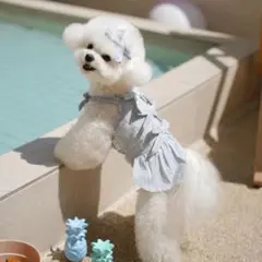 MINIME SUN LOVE BEACH (SAND BLUE）