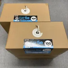 サンワサプライ CAT5e STP LANケーブル グレー 100m×2セット
